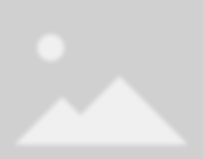 Denver Best Sprinklers LLC service image 1
